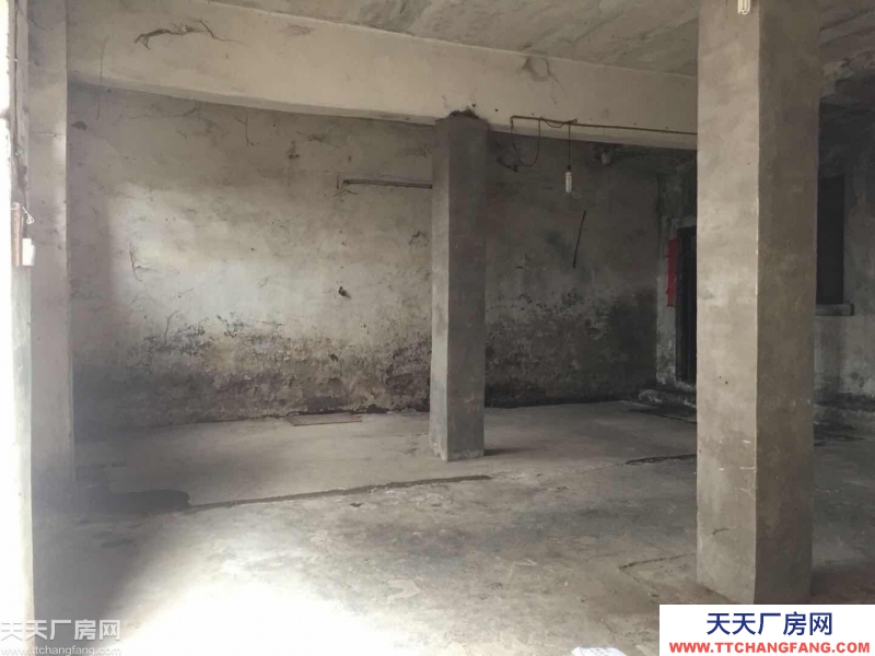 重庆九龙坡厂房出租