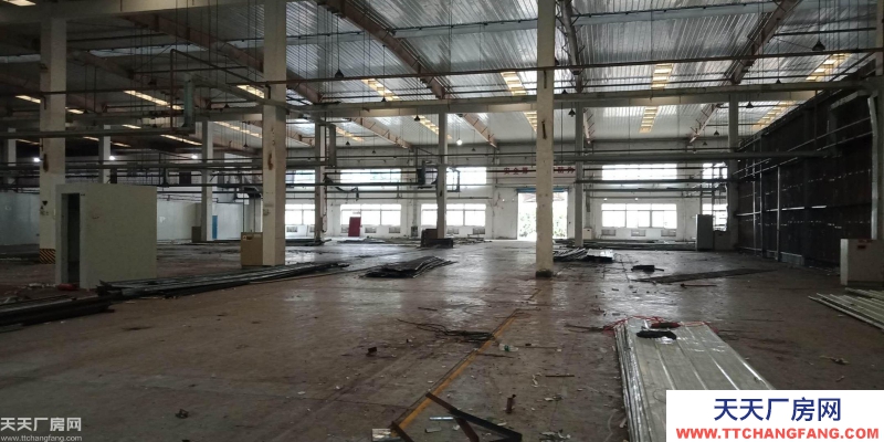 南岸区茶园新区附近厂房出租和库房出租
