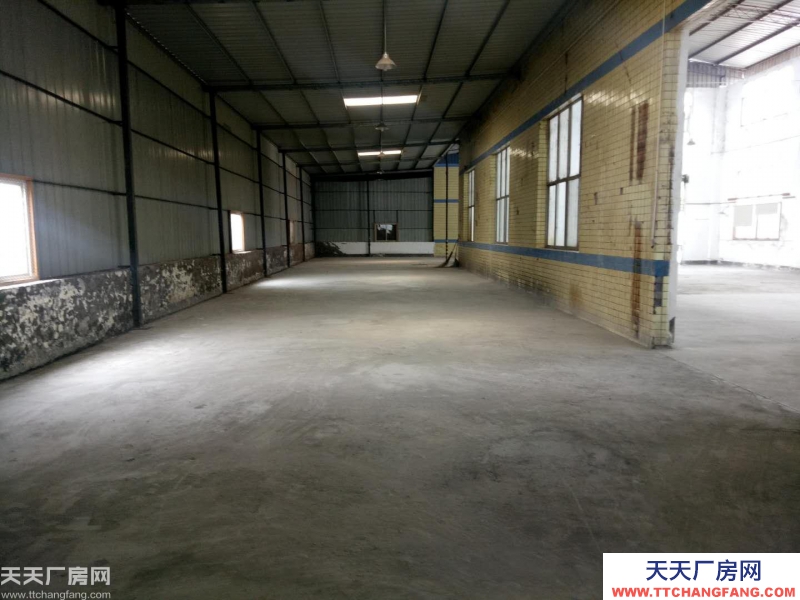 南岸区茶园新区1050厂房出租