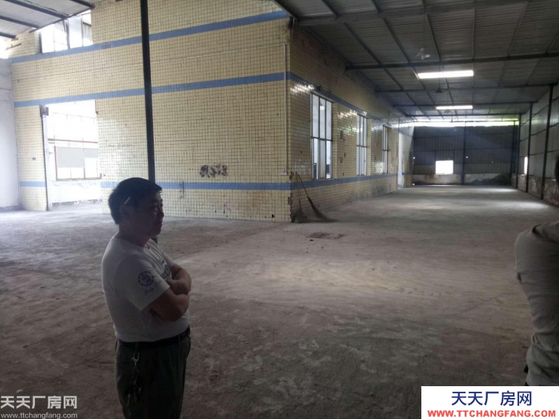南岸区茶园新区1050厂房出租