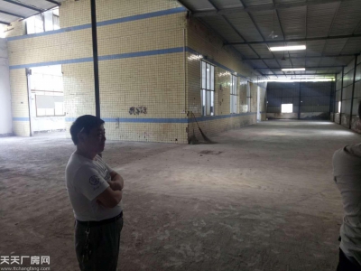 南岸区茶园新区1050厂房出租图2