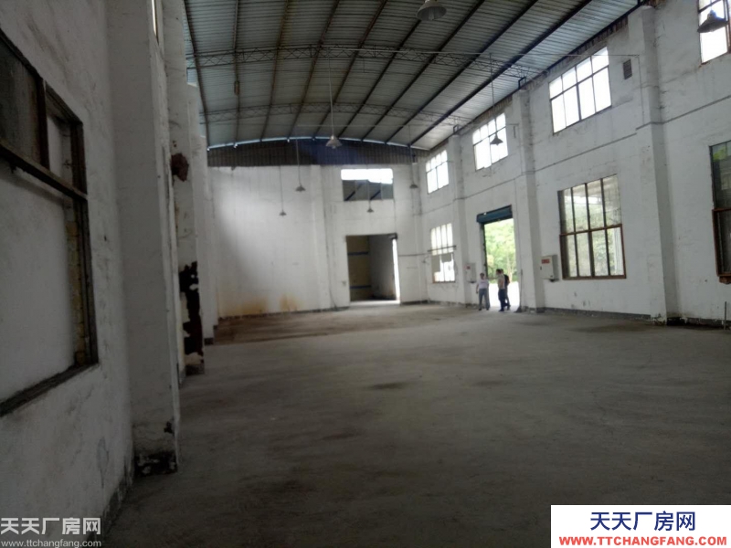 南岸区茶园新区1050厂房出租