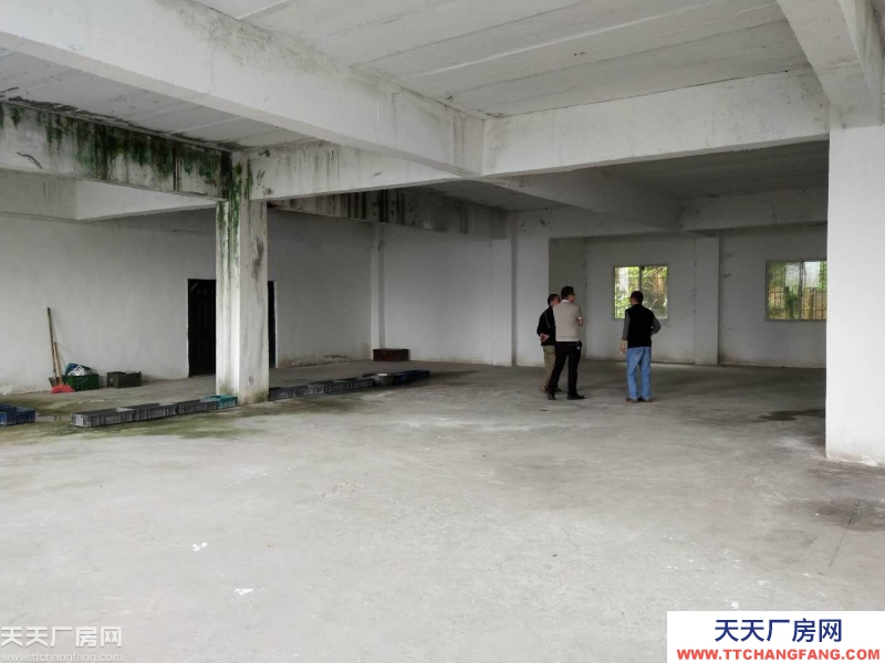 南岸区鸡冠石450平厂房出租