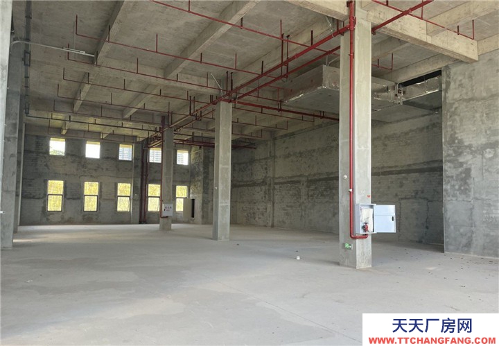 重庆两江新区2000㎡独栋厂房，层高7.8米，带院坝