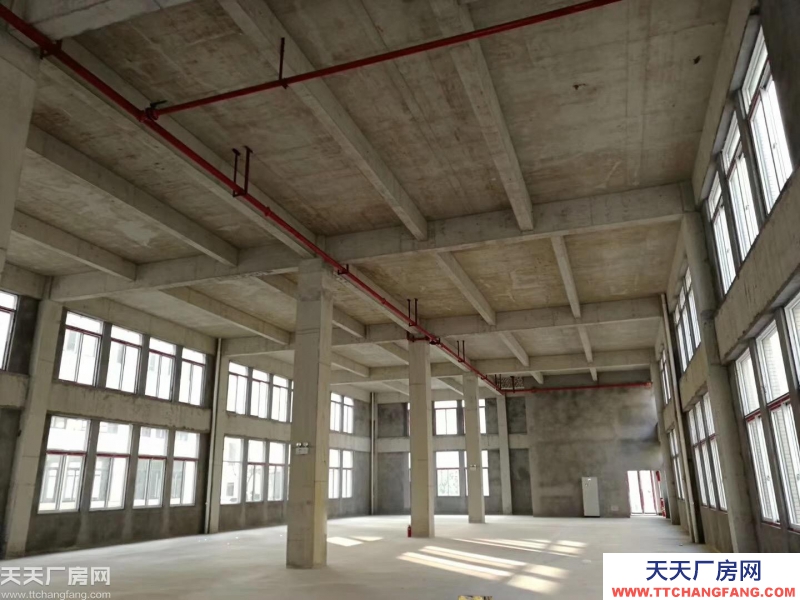 两江新区1000㎡起独栋标准厂房 独立产权 可按揭
