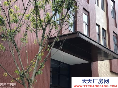 两江新区 智能制造产业园 品质标准厂房 1000㎡起