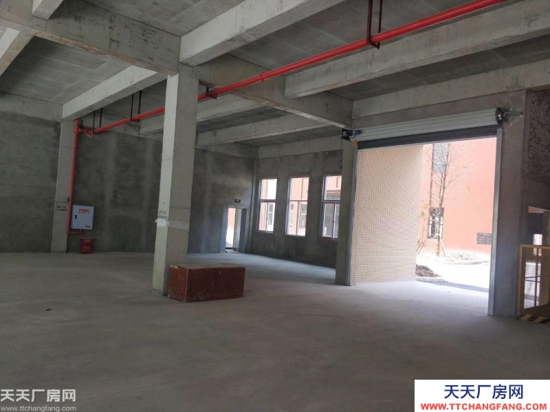 两江新区 高新技术产业园 实用标准厂房 1000㎡起