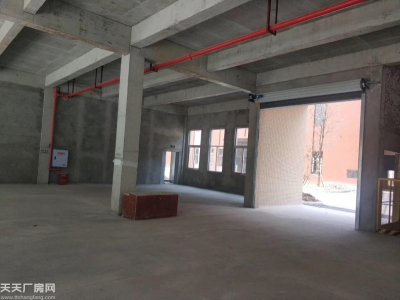 两江新区 高新技术产业园 实用标准厂房 1000㎡起图3