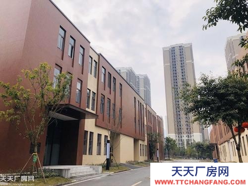 歇马拆迁首选 实用型标准厂房 园区可走大车