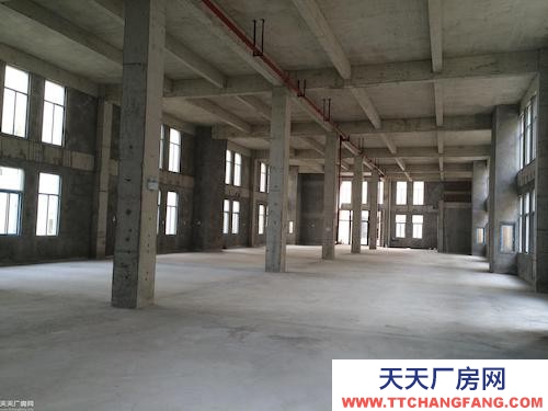 两江新区高新开发区框架结构厂房 800平 8000平