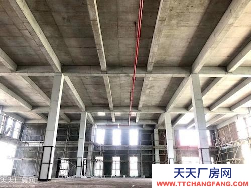 两江水土园区800-5000㎡独栋厂房租售