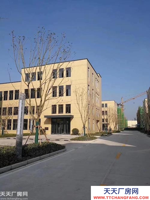 标准厂房 可租可售 支持按揭分期 配套成熟