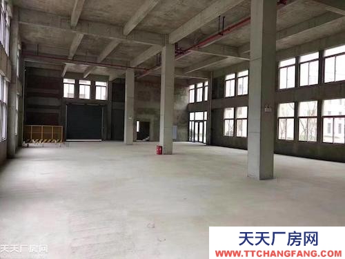 标准厂房 可租可售 支持按揭分期 配套成熟