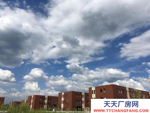 歇马周边独栋标准厂房租售可过环评交通便利