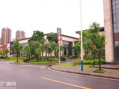 歇马周边独栋标准厂房租售可过环评交通便利图2