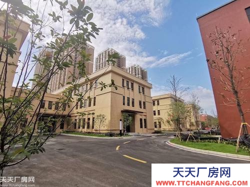出售两江新区北碚水土高新园区双层独栋框架厂房