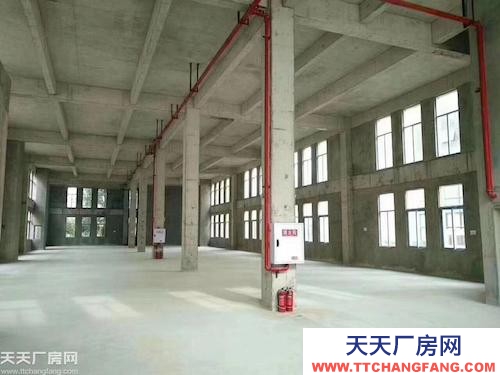 标准厂房出售（50年独立产权，可按揭，最长10年）