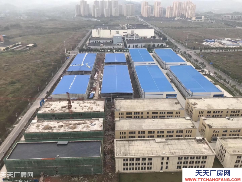 两江新区500~5000m²独栋标准厂房可租可售可定制