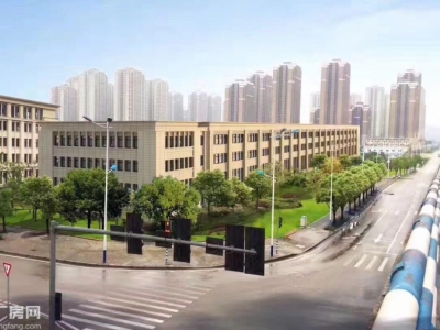 两江新区 独栋1000一4000m² 厂房出售图4
