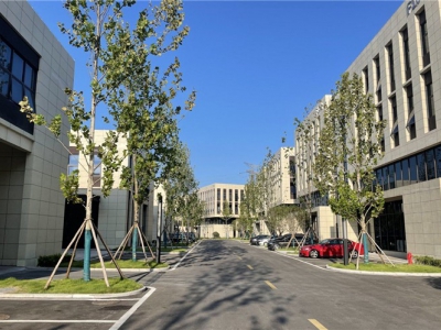 两江新区悦来附近园区，2000平独栋厂房，已过大环评，层高7.8米，有院坝图2