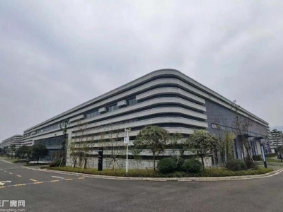 渝北标准厂房500-5000平米不等图4