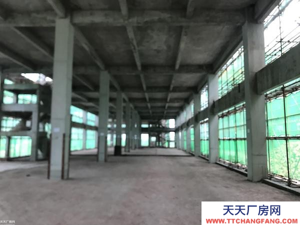 两路、回兴 标准厂房 出租出售，50年产权，可安行车