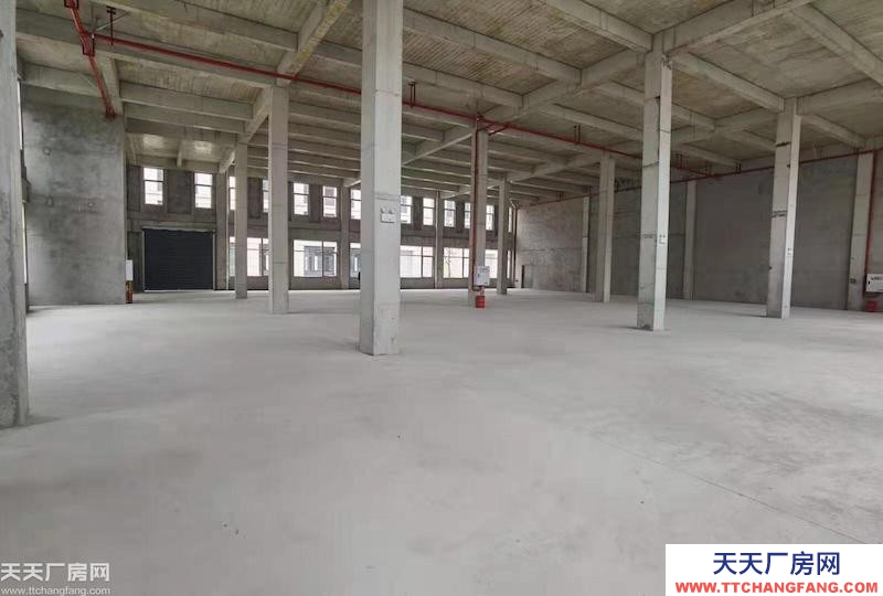 前沿科技城50年产权厂房，600平到5000平，可按揭