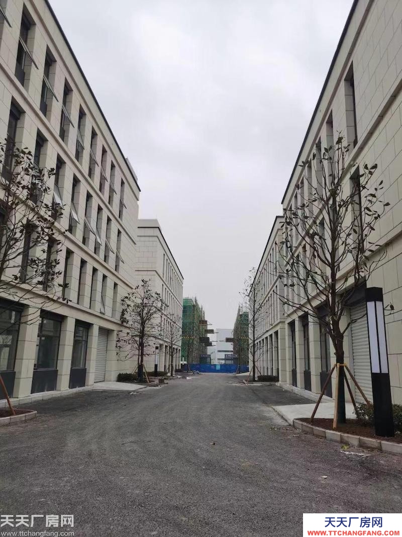 前沿科技城50年产权厂房，600平到5000平，可按揭