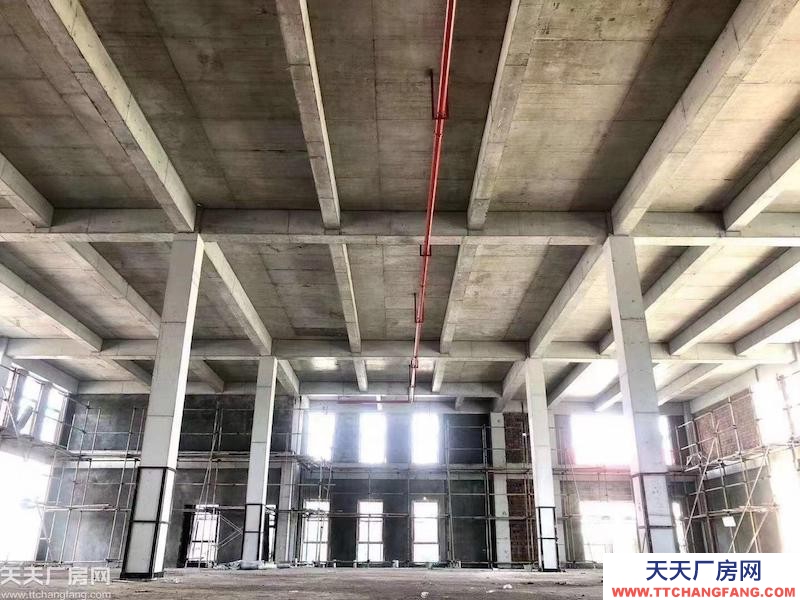 前沿科技城50年产权厂房，600平到5000平，可按揭