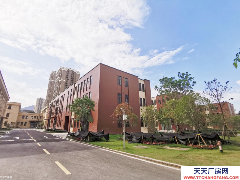 （出租）灵活小户 独立产权 500㎡起 标准厂房