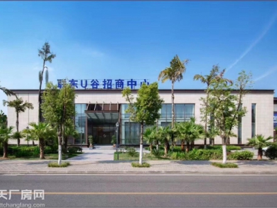 水土标准园区 标准厂房 独栋双拼联排 1000㎡起图1