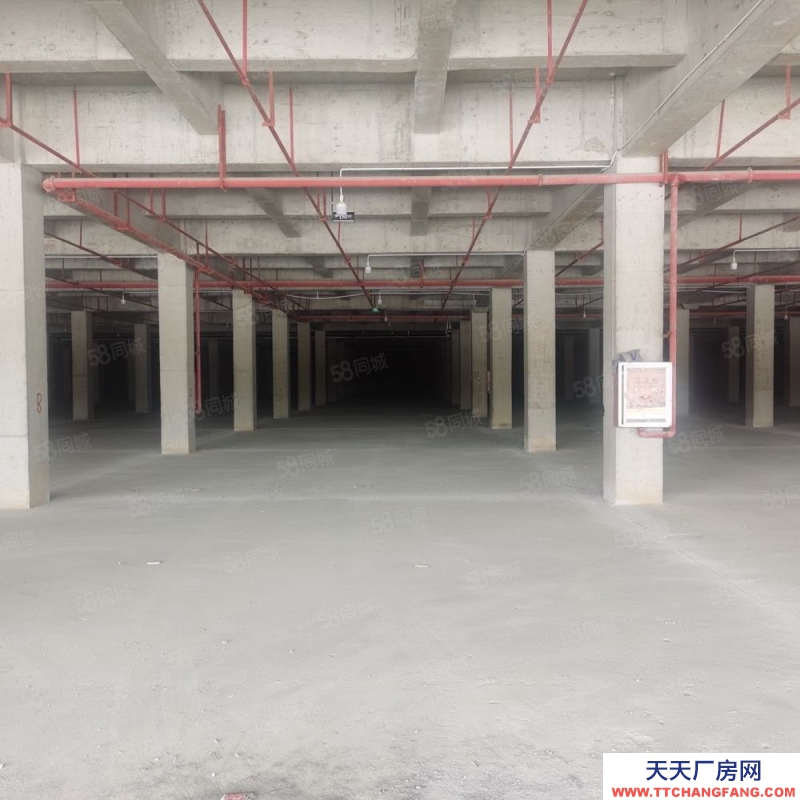 (出租)房东直租，白云区厂房出租12000平，可分租