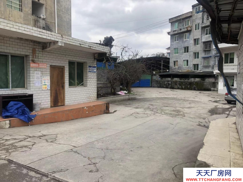出租汇川区高桥镇高石村厂房