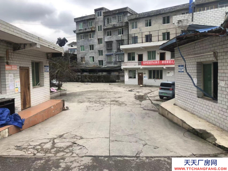 出租汇川区高桥镇高石村厂房