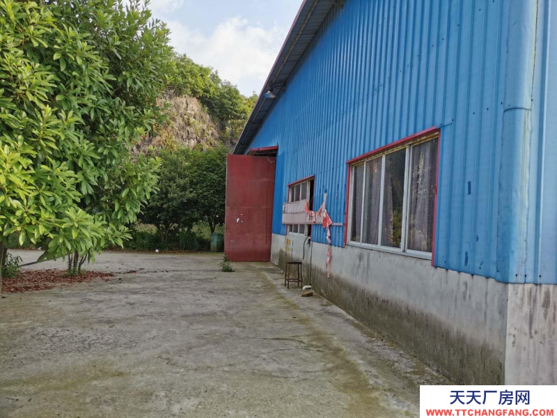 出租汇川汇川周边厂房出租，可用于仓储、轻加工、种养殖等