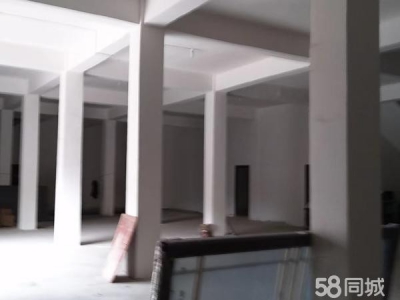 (出租) 适合货物储存堆放，加工作坊，图4