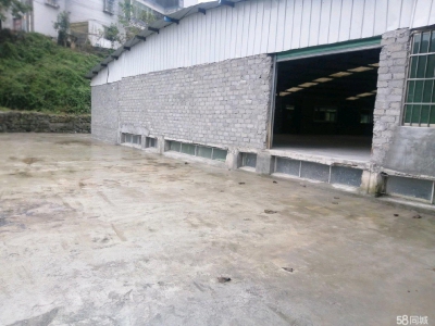 汇川周边 河溪小学旁柳江大道路边 厂房 1000平米图6