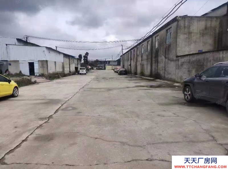 (出租) 白云区20000平厂房和40亩空坝出租