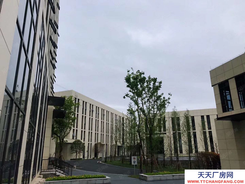 (出租) 高新区标准框架厂房，超高超长车间布局空间灵活性价比高