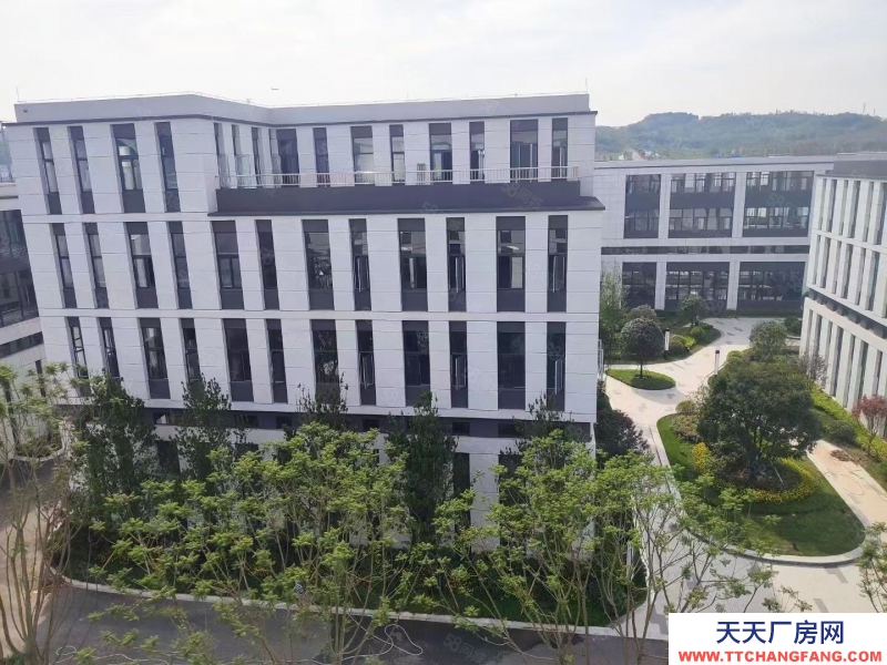 (出租) 南明标准结构厂房 （首层8.1米）小900