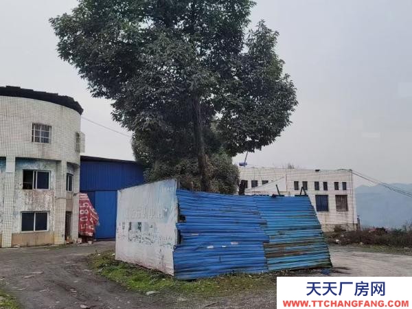 (出租) 大型厂房5000平米含26亩工业土地可改商整体租售