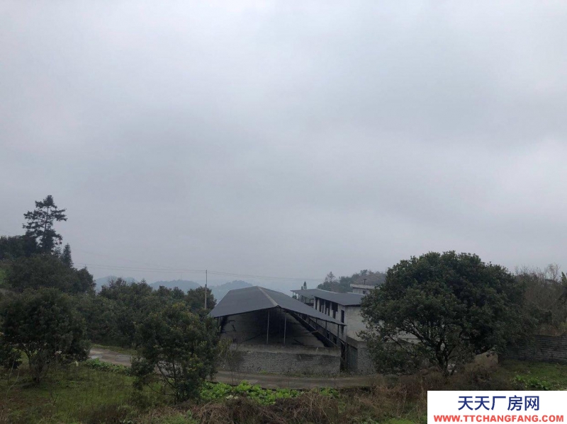 本厂房低价出售，三相电齐全，可用作养殖或加工