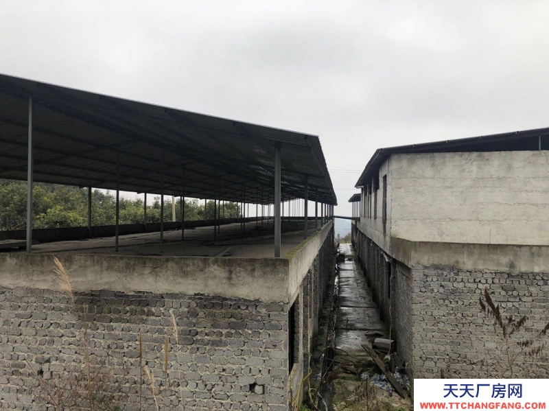 本厂房低价出售，三相电齐全，可用作养殖或加工