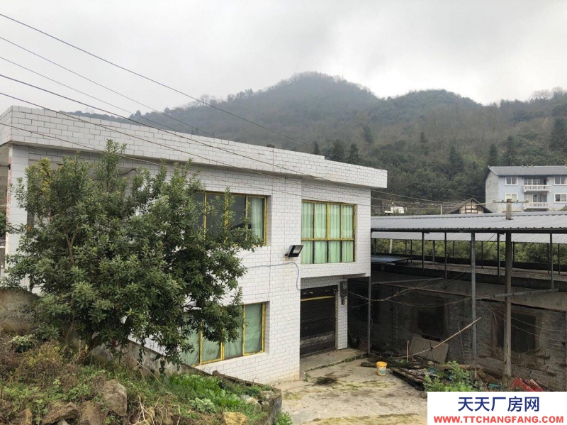 本厂房低价出售，三相电齐全，可用作养殖或加工
