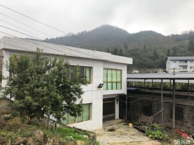 本厂房低价出售，三相电齐全，可用作养殖或加工图4