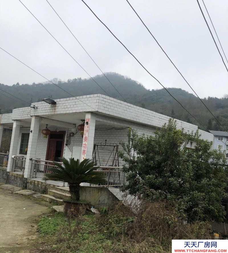 本厂房低价出售，三相电齐全，可用作养殖或加工