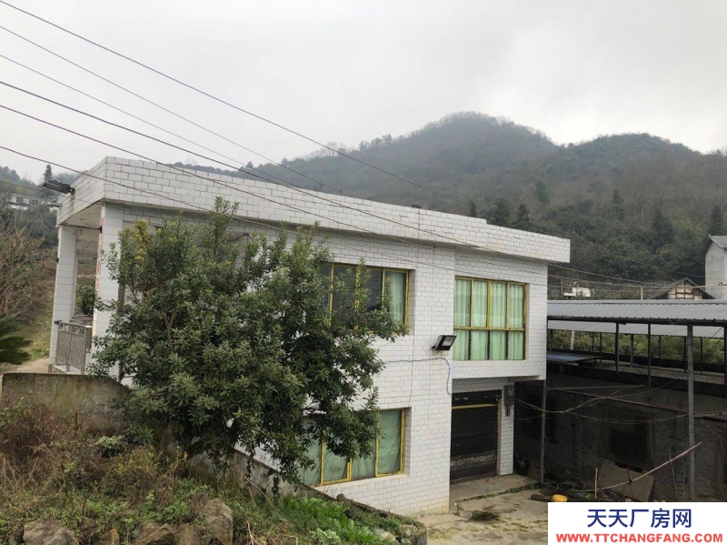 本厂房低价出售，三相电齐全，可用作养殖或加工