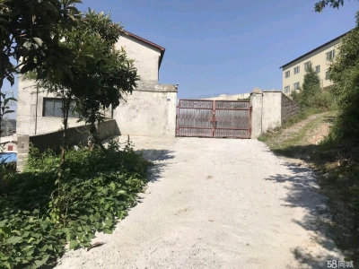加工、库房、停车、等多用途图3