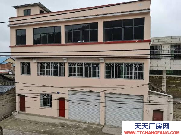 (出租) 出租三层整体招租