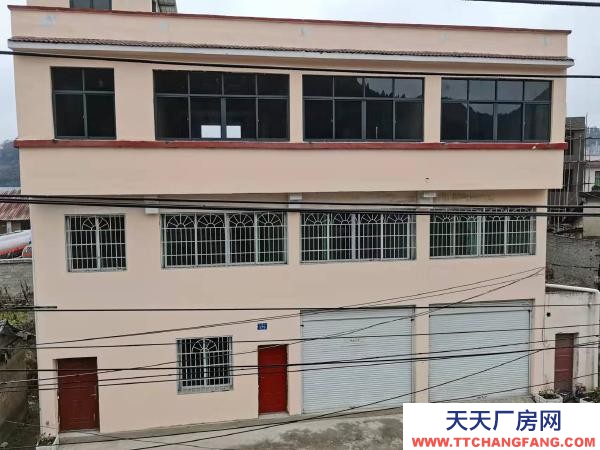 (出租) 出租三层整体招租